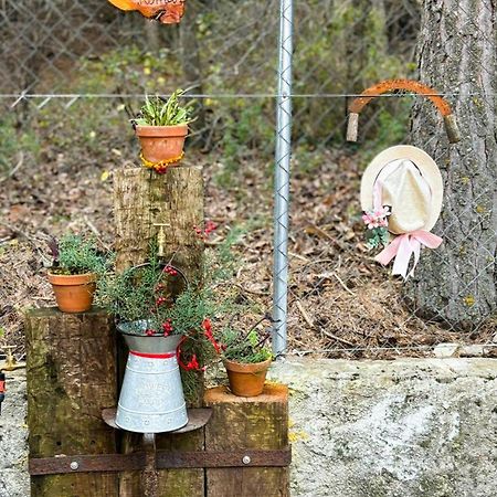 トラガセテ Casita En La Sierraヴィラ エクステリア 写真